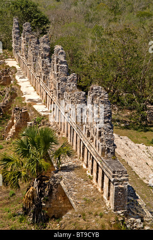 Mayan ruins at the south side of Uxmal, the house of the doves as seen from the top of the great pyramid, Uxmal, Yucatan, Mexico Stock Photo