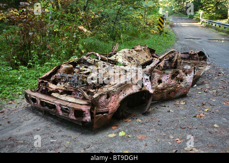 Derelict Car near Ashford, Washington Stock Photo