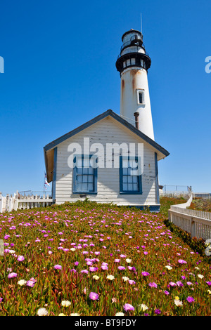 Pigeon Point Light Station or Pigeon Point Lighthouse, behind a meadow of Highway Ice Plant, Pigface or Hottentot Fig Stock Photo