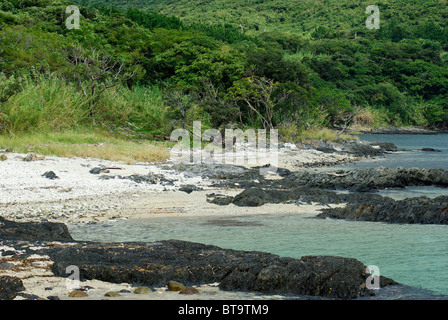 Beach with old lava remnants on Yakushima Island, Kagoshima, Kyushu, Japan, Asia Stock Photo