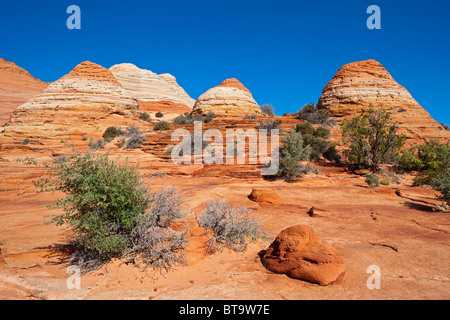 Coyote Buttes North, Paria Canyon-Vermilion Cliffs Wilderness, Utah, Arizona, USA Stock Photo