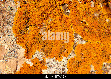 full frame image of natural stone for textured background Stock Photo
