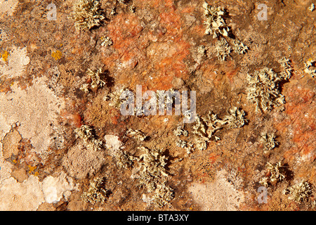 full frame image of natural stone for textured background Stock Photo