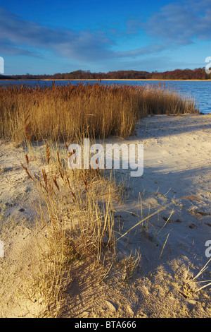 Benacre national nature reserve Suffolk Stock Photo - Alamy
