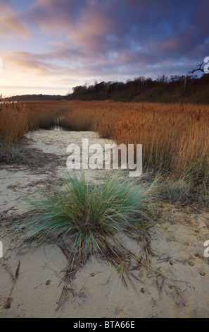 Benacre Broad, part of Benacre National Nature Reserve in Suffolk Stock Photo