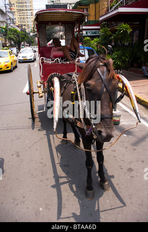 a 'kalesa' driver is taking a nap, district of malate in manila philippines. Stock Photo