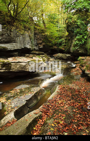 How Stean Gorge, Nidderdale near Pateley Bridge, North Yorkshire Stock ...