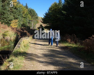 Young couple walking hand in hand through autumn scenery, England, UK. Stock Photo
