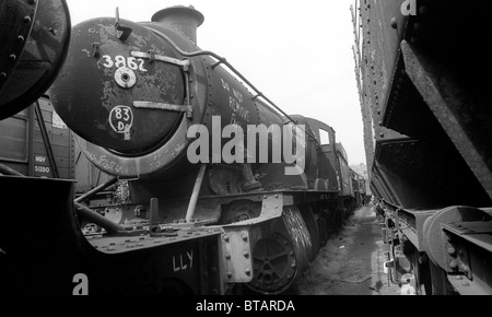 Scrapyard of British steam locomotives at Woodhams Yard in Barry South Wales July 1981 Britain 1980s PICTURE BY DAVID BAGNALL Stock Photo