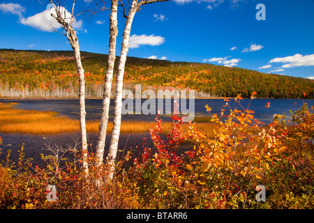 Autumn colors at Upper Hadlock Pond in Acadia National Park, Maine USA Stock Photo