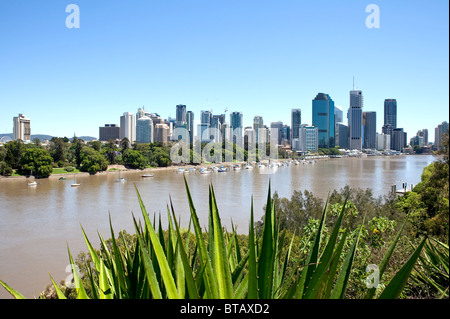 View of Brisbane River, Brisbane, QLD from The Cliffs Stock Photo
