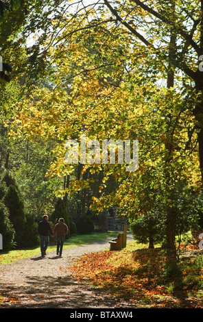 Young Couple Walking Hand in Hand Through the Autumn Colours at Bedgebury National Pinetum Stock Photo