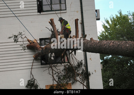 Workers work on removing a tree from a window after it fell during a storm in Greenbelt, Maryland Stock Photo