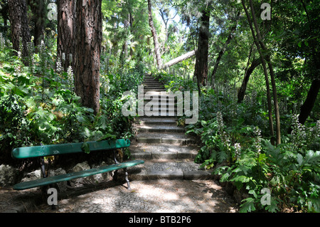 Path under the trees in the Botanical Garden of Lisbon, Portugal. Stock Photo