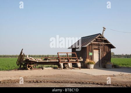 An old shack and wagon on a Modesto California farm Stock Photo