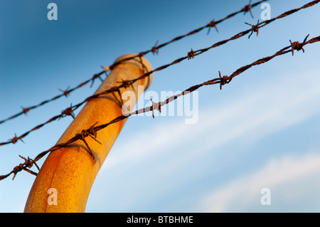 Fence posts with barbed wire running across it against a blue sky Stock Photo