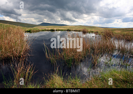 Fan Gyhirych from Black Mountain, Brecon Beacons, Wales, UK Stock Photo