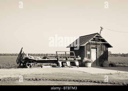 An old shack and wagon on a Modesto California farm Stock Photo