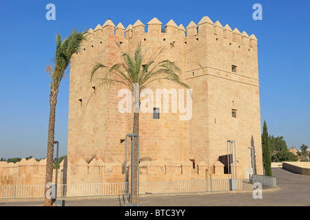 The Calahorra Tower in Cordoba, Spain Stock Photo