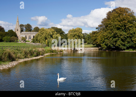 Swan on Brompton ponds in front of the All Saint's church at Brompton by Sawdon, North Yorkshire. Stock Photo