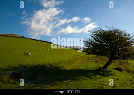 Bleaklow from the valley of Shelf Brook, near Glossop, Peak District, Derbyshire, England, UK Stock Photo