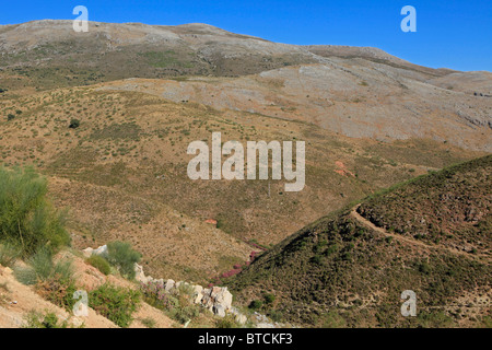 Los Alcornocales Natural Park in Southern Spain Stock Photo