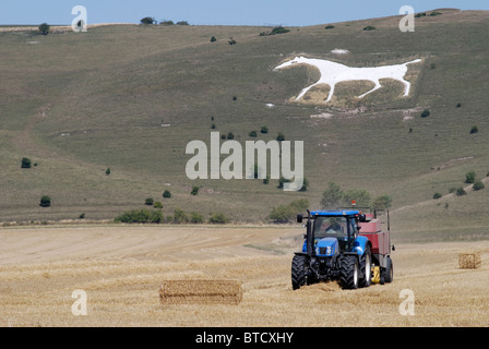 Tractor baling hay in field under White horse carved from chalk hillside. Pewsey Downs at Alton near Avebury. Wiltshire. England Stock Photo