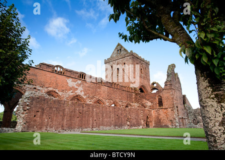 Sweetheart Abbey in New Abbey, Dumfries and Galloway, Scotland Stock Photo
