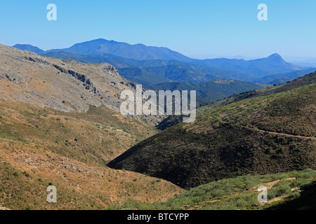 Los Alcornocales Natural Park in Southern Spain Stock Photo