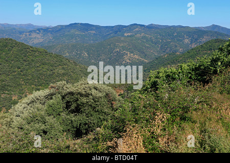 Los Alcornocales Natural Park in Southern Spain Stock Photo