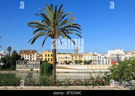 The Calle de Rafael Jardines Montesinos esplanade along the Guadalquivir River in Seville, Spain Stock Photo