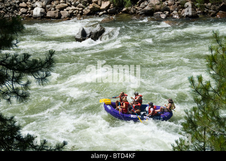 White water rafting on the Payette River, Idaho Stock Photo