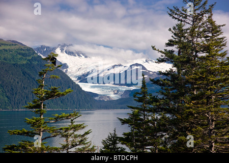 View of Billings Glacier across Passage Canal in Summer, Whittier, Southcentral Alaska Stock Photo
