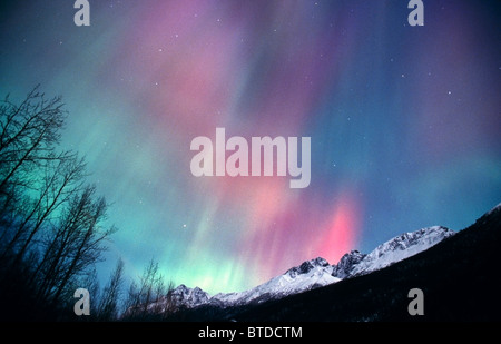 Multi colored Northern Lights (Aurora borealis) fill the night sky off the Old Glen Highway near Palmer, Alaska, Winter Stock Photo