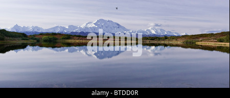 Panoramic view of the Northside of Mt. McKinley and the Alaska Range from Reflection Pond, Denali National Park,  Alaska Stock Photo
