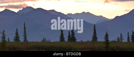 Sunset over the Alaska Range near Mile 7 of the Park Road in Denali National Park and Preserve, Interior Alaska, Summer Stock Photo