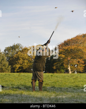 man shooting pheasants on a driven shoot with a shotgun Stock Photo