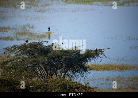 A scenic view of Lake Awassa with a fisherman on papyrus raft and fish eagles perched on a tree in the foreground Stock Photo