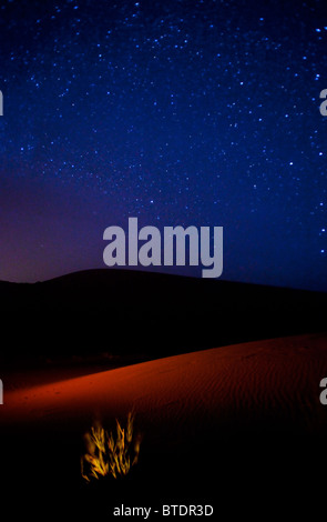 A night starry sky at Sahara desert in Morocco wide shot Stock Photo ...