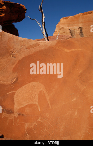 San rock art etchings of elephant and antelope on a rock face Stock Photo