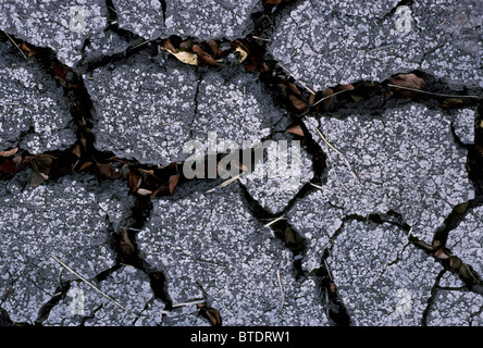 Cracked mud and dried leaves Stock Photo