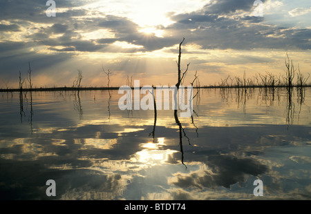 Sunset over Lake Kariba with dead trees standing in the water Stock Photo