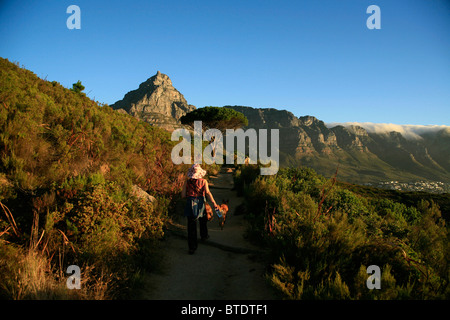 Hiker with dog on hiking path walking below Lions Head, Table Mountain and the Twelve Apostles in the distance Stock Photo