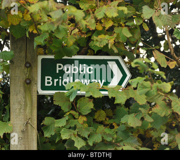 public bridleway sign hidden in foliage