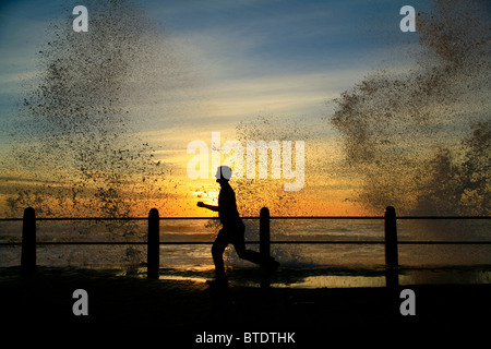 Man jogging on the Sea Point esplanade at sunset  with waves crashing on the shore Stock Photo