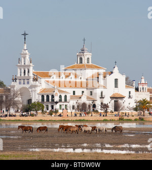 Horses in the marshes in front of the Village of El Rocio, Huelva, Spain Stock Photo