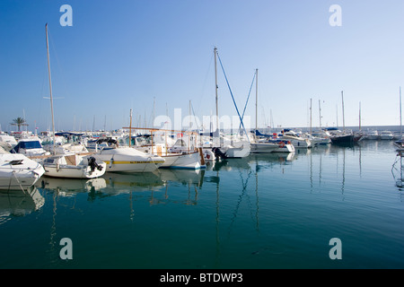 Boats moored in a harbour, Marbella, Spain Stock Photo