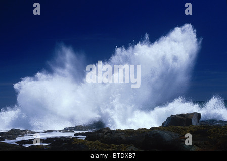 Crashing waves Stock Photo