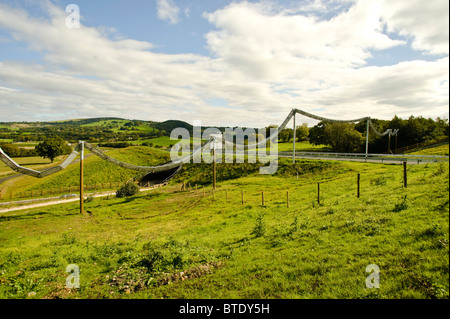 Dormouse Bridge enabling the endangered animals to cross a newly built ...