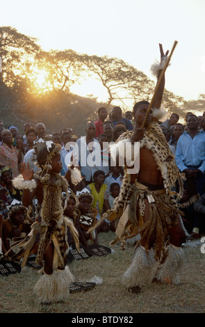 Intriguing c. 1880s Photograph - Zulu Men Stick Fighting